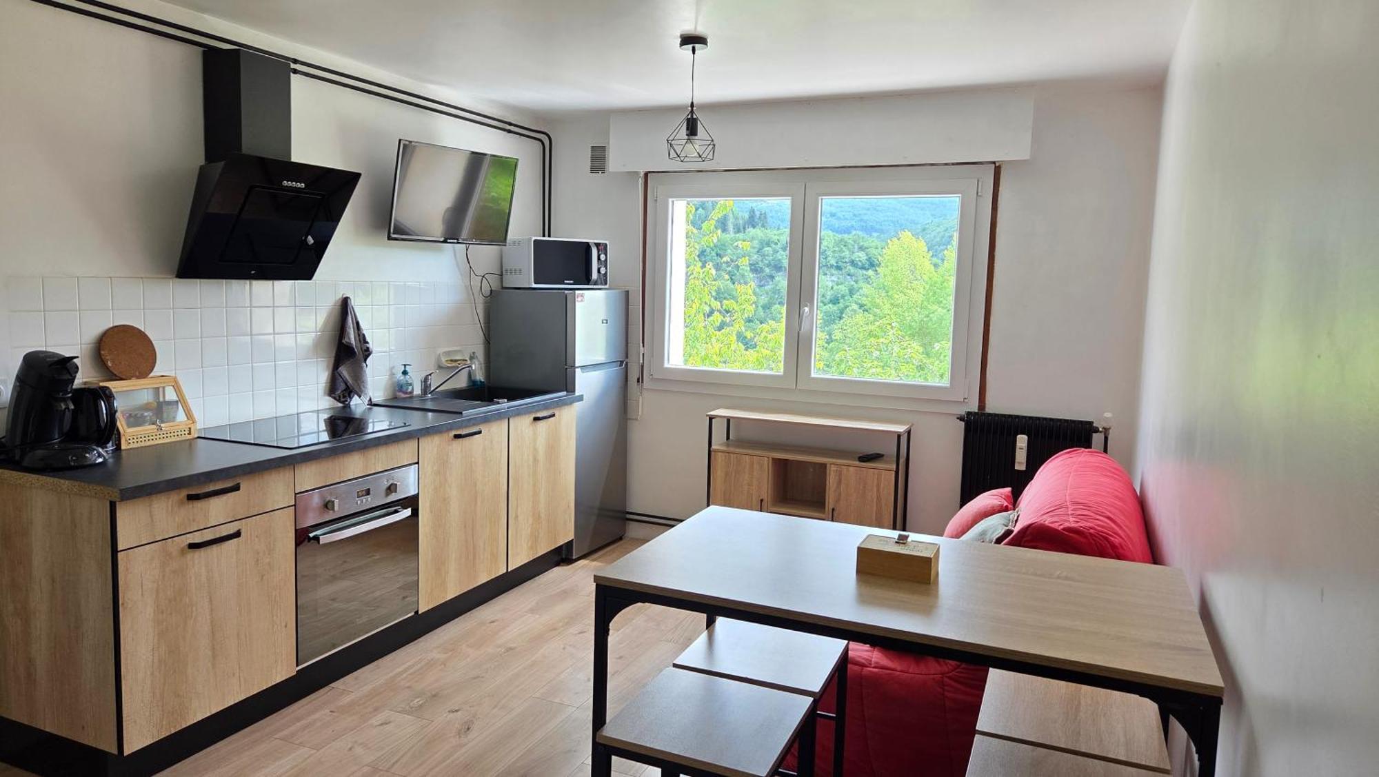 Lizon Cocooning Avec Sauna Apartment
